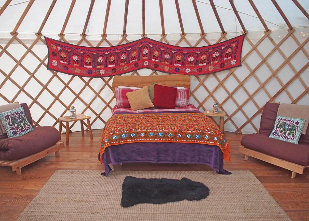 Florence Springs Glamping Gumfreston Екстериор снимка