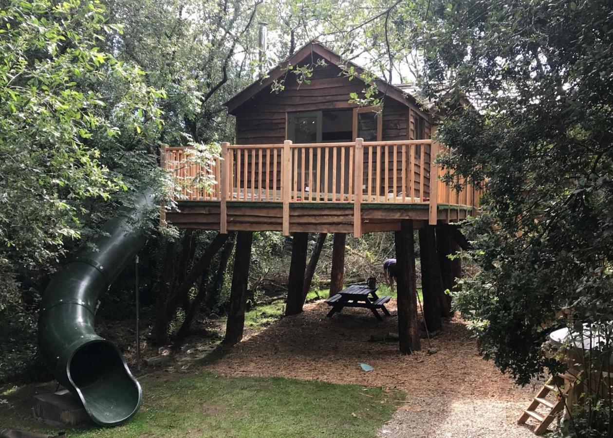 Florence Springs Glamping Gumfreston Екстериор снимка